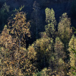 image: Image from the photoset ‘
rumelange (xxiii)
’.