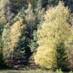 image: Image from the photoset ‘
rumelange (xxiii)
’.