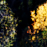 image: Image from the photoset ‘
rumelange (xxiii)
’.