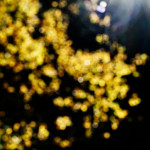 image: Image from the photoset ‘
rumelange (xxiii)
’.