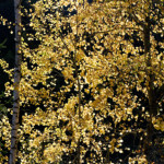 image: Image from the photoset ‘
rumelange (xxiii)
’.