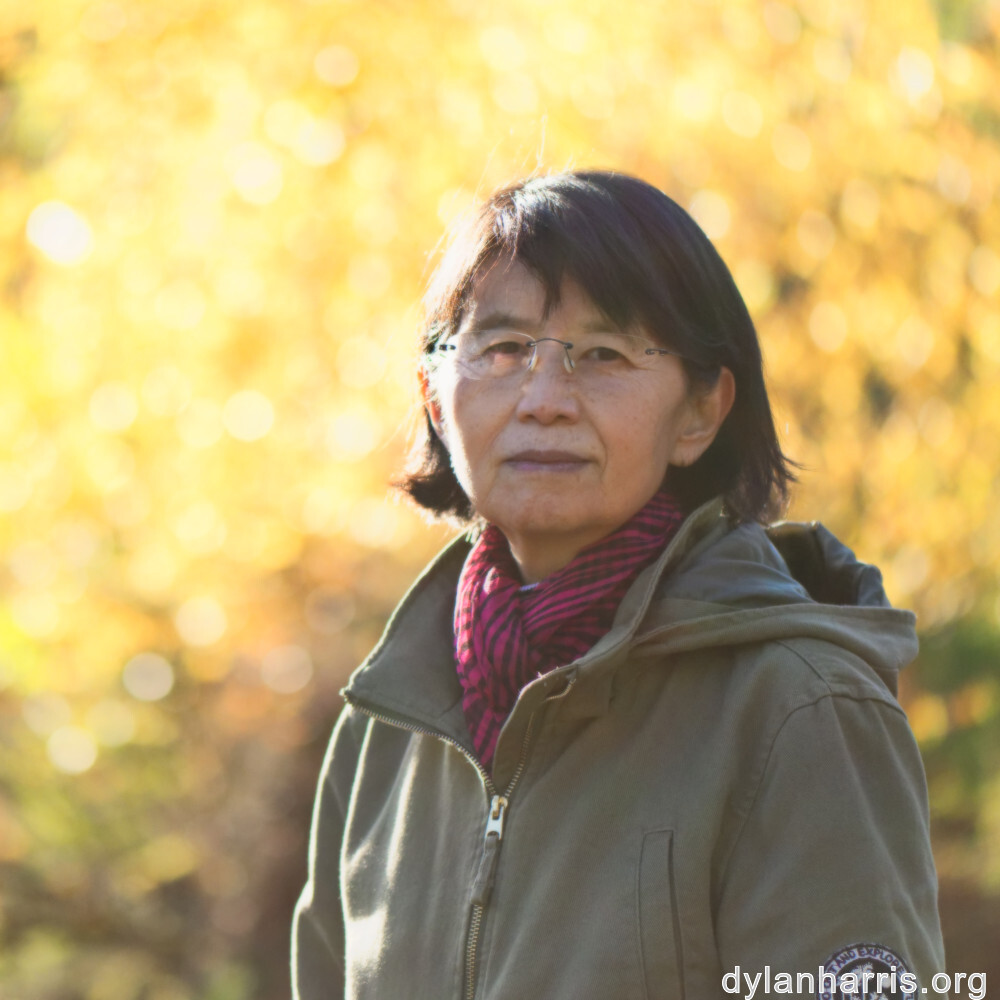 image: This is ‘
L (xliii) 1
’.