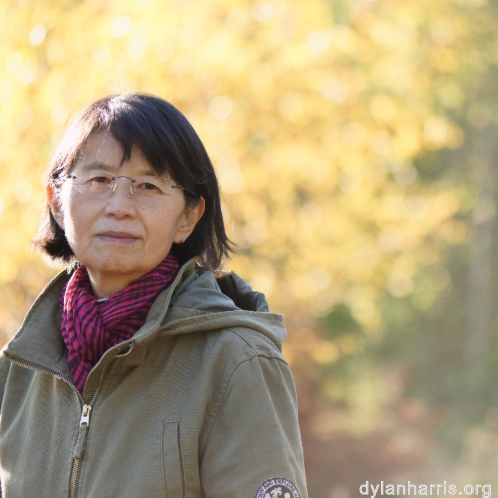 image: This is ‘
L (xliii) 2
’.