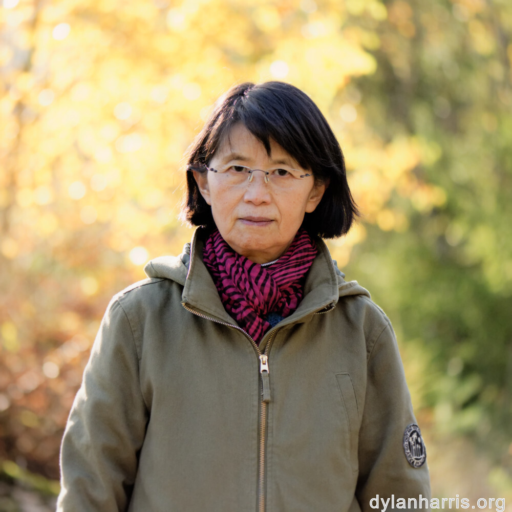 image: This is ‘
L (xliii) 3
’.