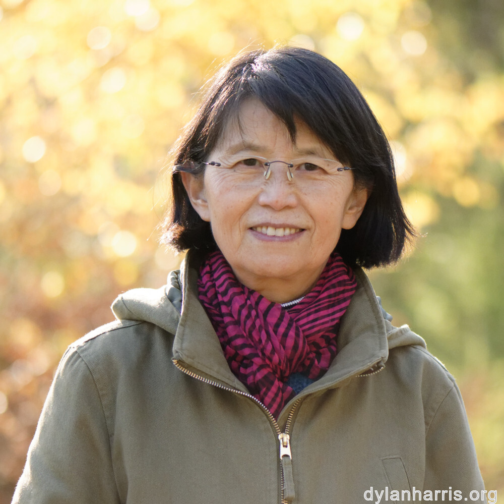 image: This is ‘
L (xliii) 4
’.