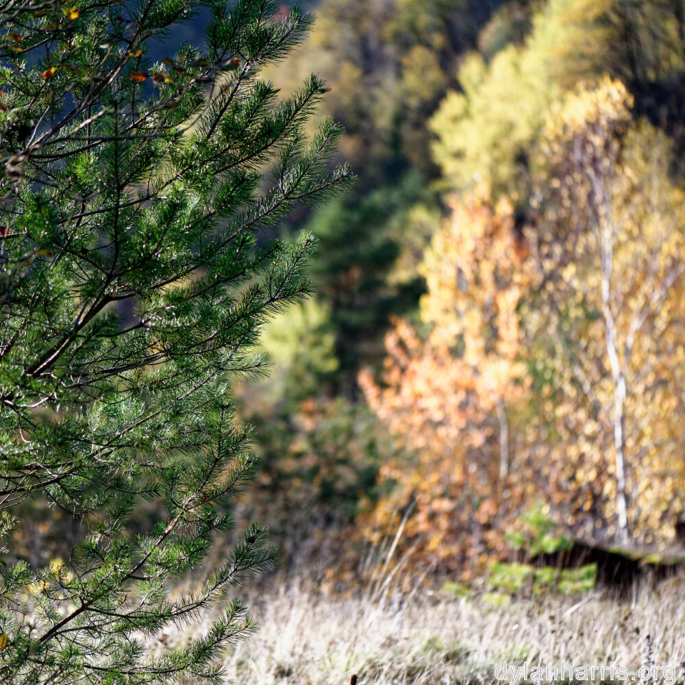 image: This is ‘
rumelange 1
’.