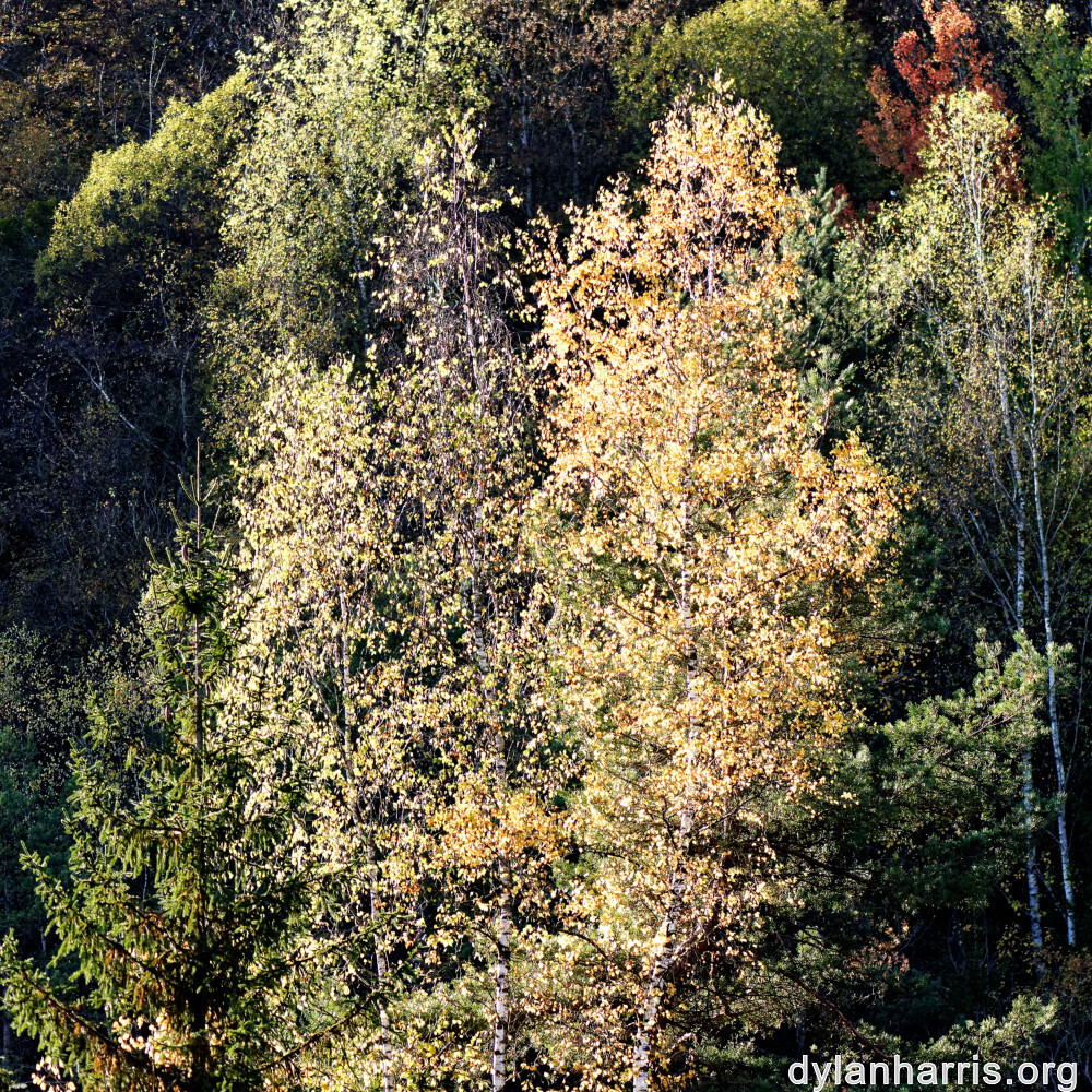 image: This is ‘
rumelange 2
’.