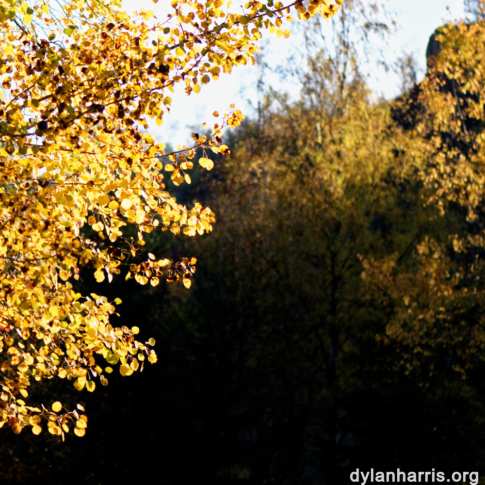 image: This is ‘
rumelange 3
’.