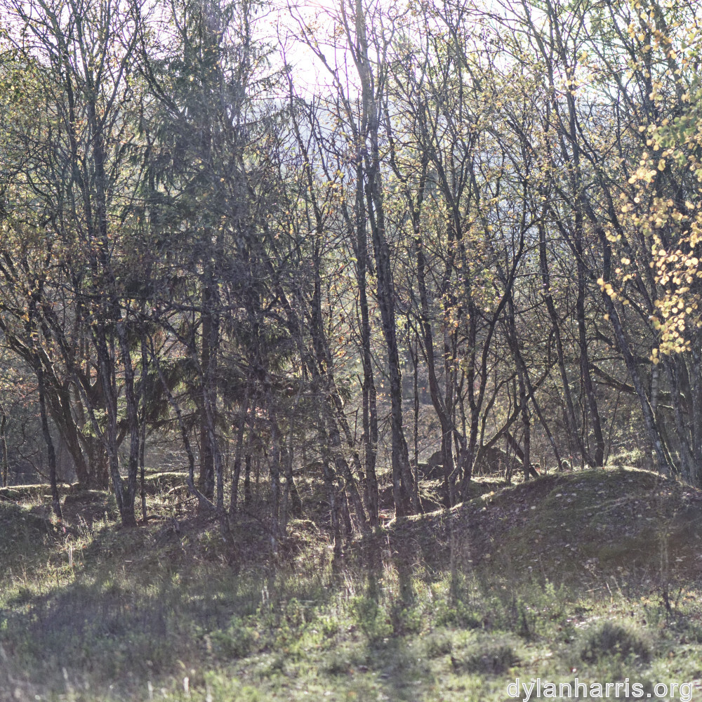 image: This is ‘
rumelange 5
’.