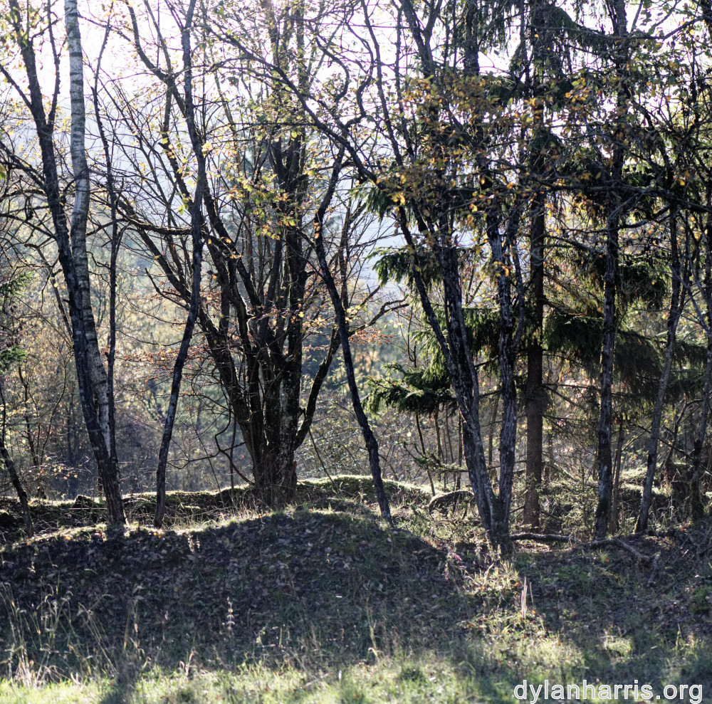 image: This is ‘
rumelange 6
’.