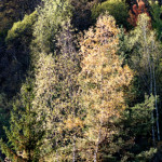 image: Image from the photoset ‘
rumelange (xxiv)
’.