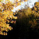 image: Image from the photoset ‘
rumelange (xxiv)
’.