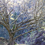 image: Image from the photoset ‘
rumelange (xxiv)
’.