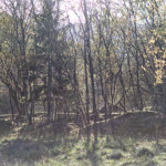 image: Image from the photoset ‘
rumelange (xxiv)
’.