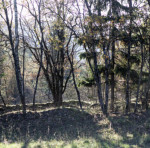 image: Image from the photoset ‘
rumelange (xxiv)
’.