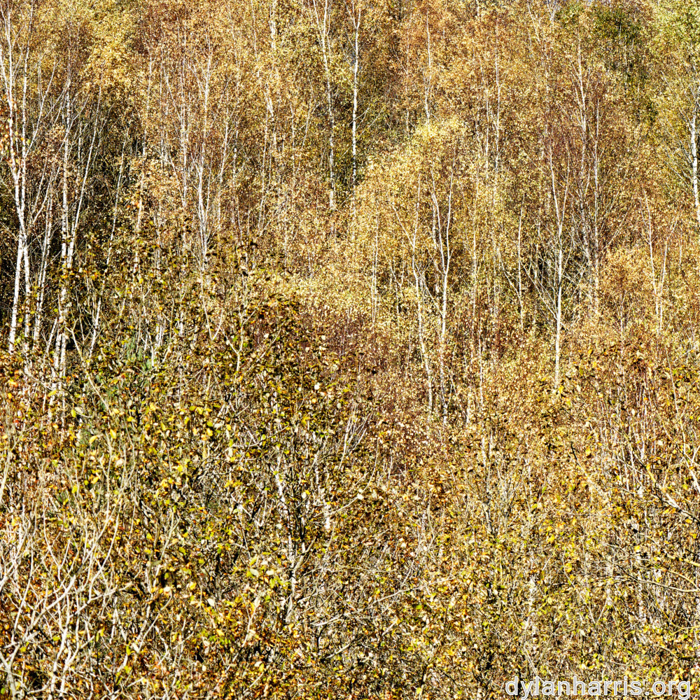 image: This is ‘
rumelange 1
’.