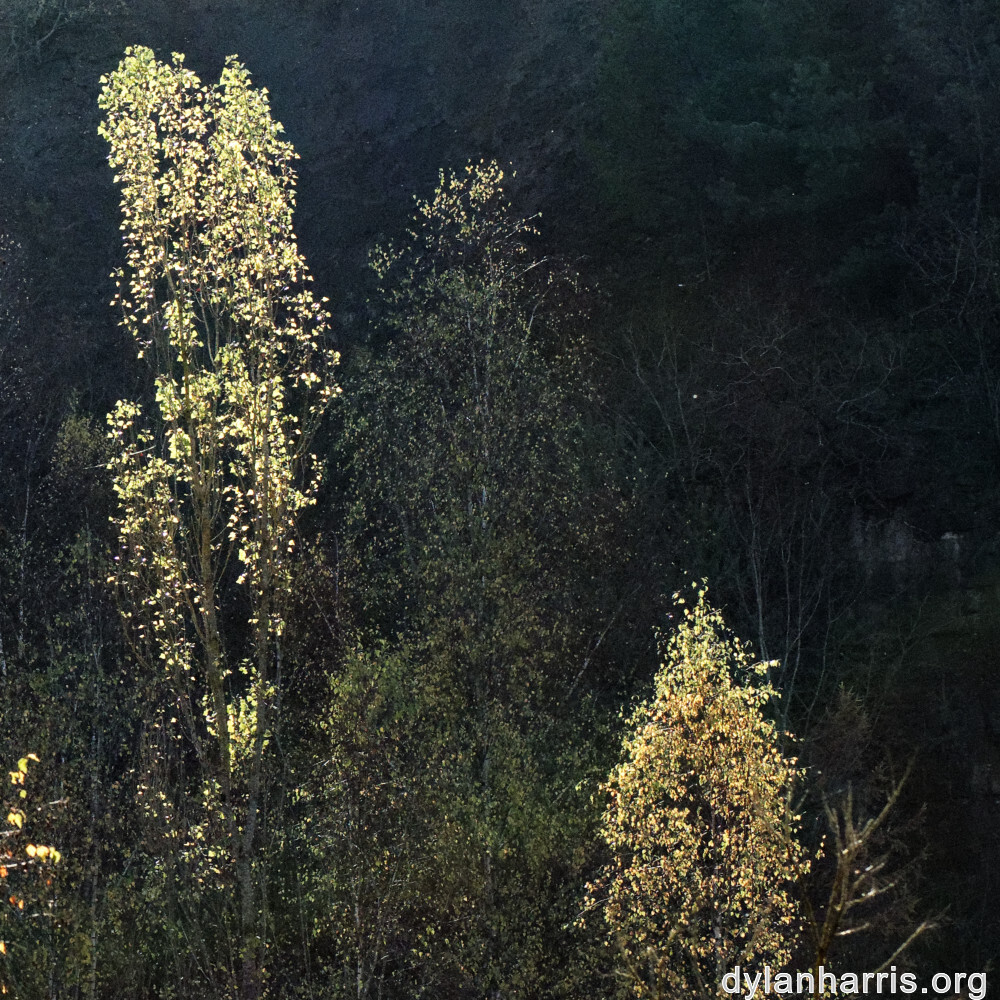 image: This is ‘
rumelange 2
’.