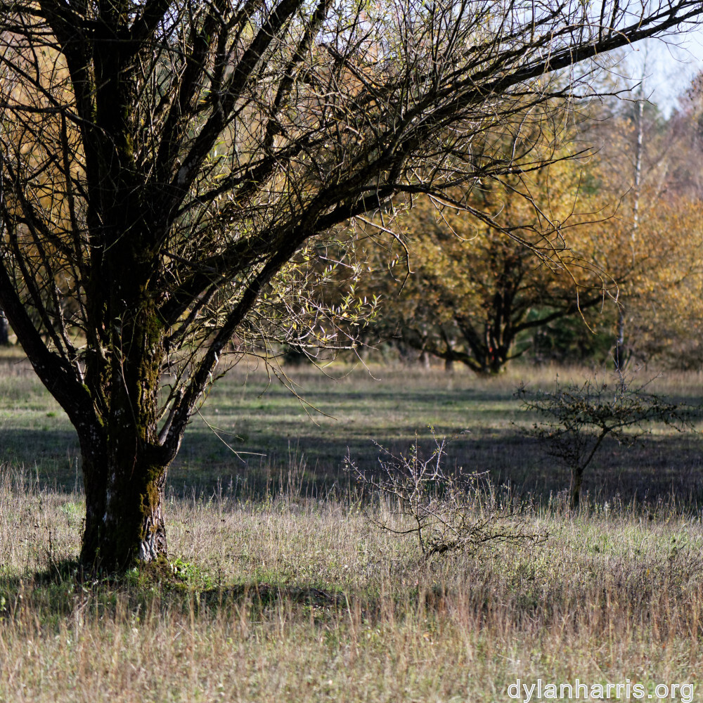 image: This is ‘
rumelange 3
’.