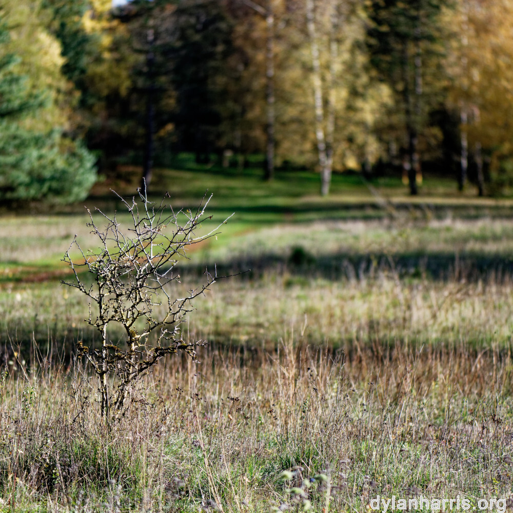 image: This is ‘
rumelange 4
’.