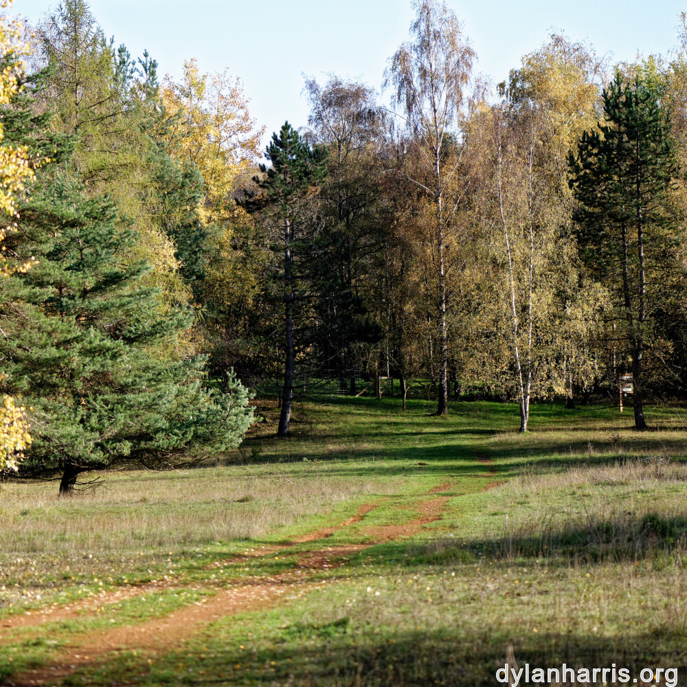 image: This is ‘
rumelange 5
’.