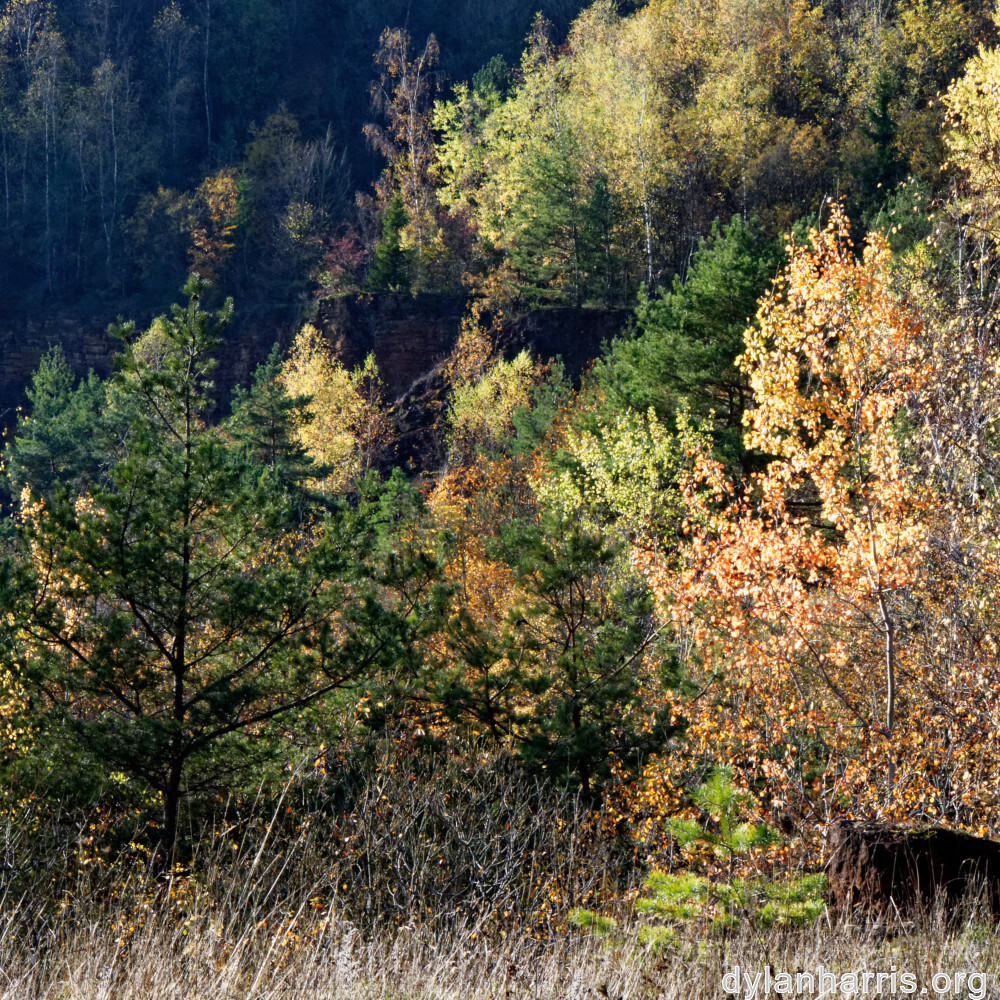 image: This is ‘
rumelange 6
’.