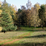 image: Image from the photoset ‘
rumelange (xxv)
’.