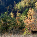 image: Image from the photoset ‘
rumelange (xxv)
’.