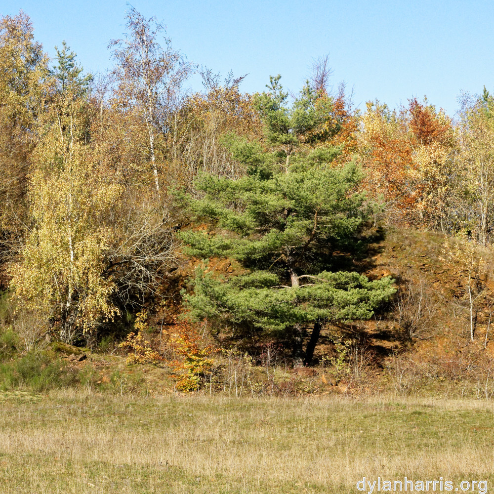 image: This is ‘
rumelange 6
’.