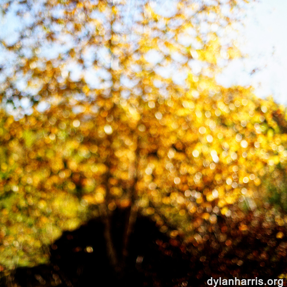 image: This is ‘
rumelange 8
’.