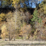 image: Image from the photoset ‘
rumelange (xxxvi)
’.