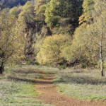 image: Image from the photoset ‘
rumelange (xxxvi)
’.