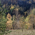 image: Image from the photoset ‘
rumelange (xxxvi)
’.