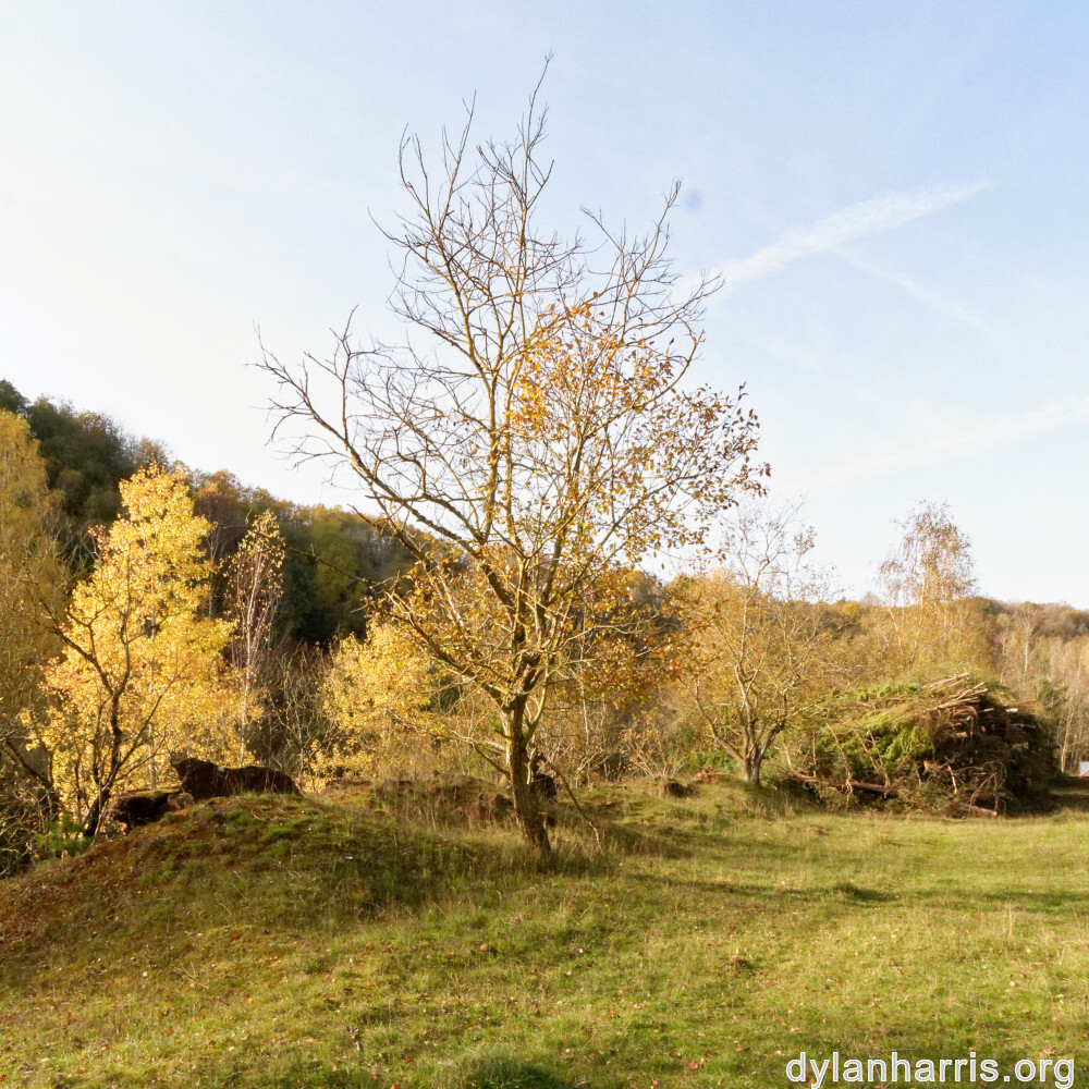 image: This is ‘
rumelange 1
’.