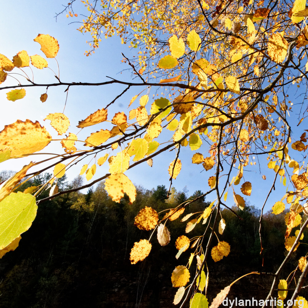 image: This is ‘
rumelange 2
’.