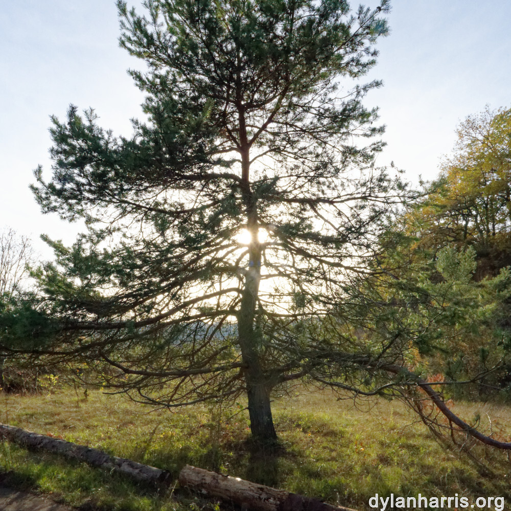 image: This is ‘
rumelange 4
’.