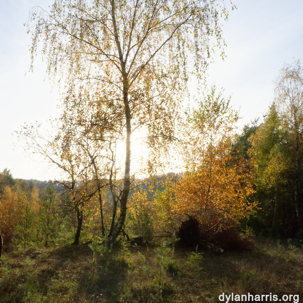 image: This is ‘
rumelange 8
’.