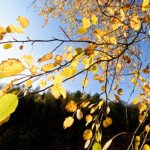 image: Image from the photoset ‘
rumelange (xxvii)
’.