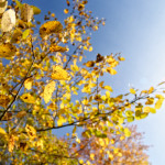 image: Image from the photoset ‘
rumelange (xxvii)
’.