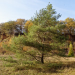 image: Image from the photoset ‘
rumelange (xxvii)
’.