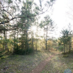 image: Image from the photoset ‘
rumelange (xxvii)
’.