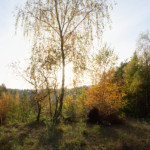 image: Image from the photoset ‘
rumelange (xxvii)
’.