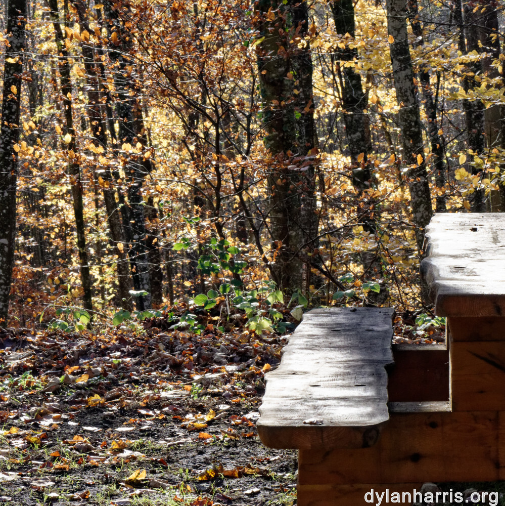 image: This is ‘
terres rouges (xxi) 1
’.