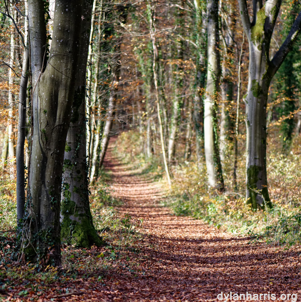 image: This is ‘
terres rouges (xxi) 2
’.