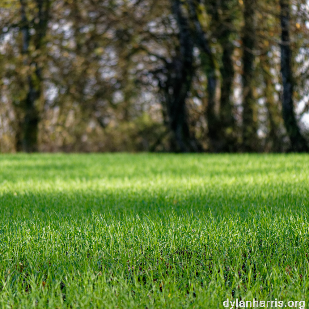 image: This is ‘
terres rouges (xxi) 3
’.