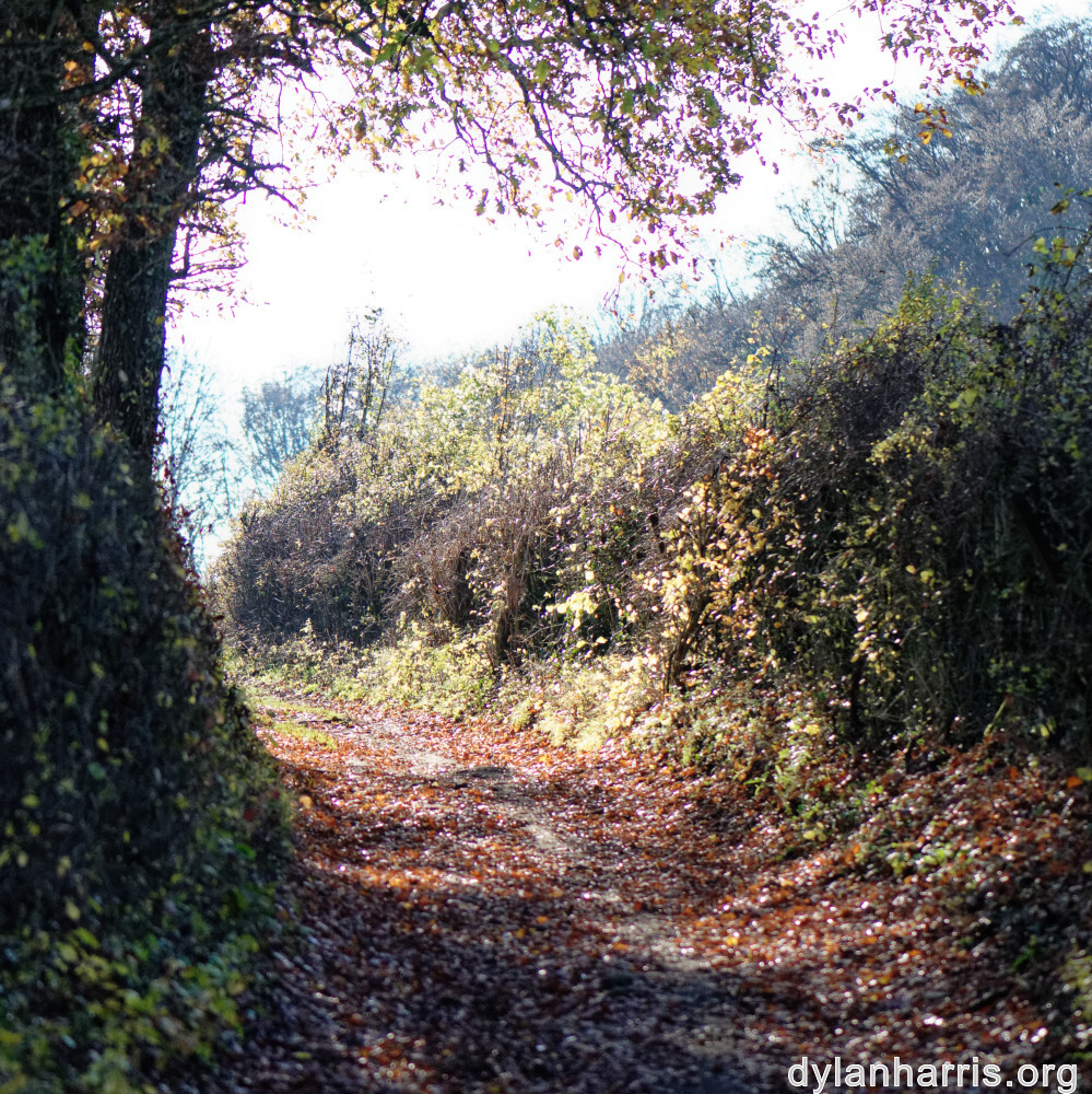 image: This is ‘
terres rouges (xxi) 6
’.