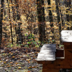 image: Image from the photoset ‘
terres rouges (xxi)
’.