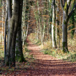 image: Image from the photoset ‘
terres rouges (xxi)
’.