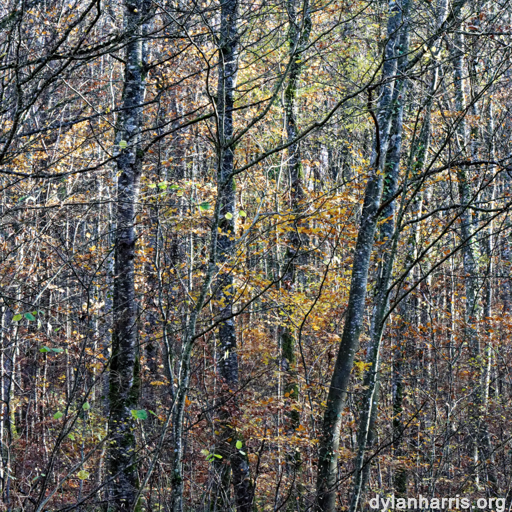 image: This is ‘
terres rouges (xxii) 1
’.