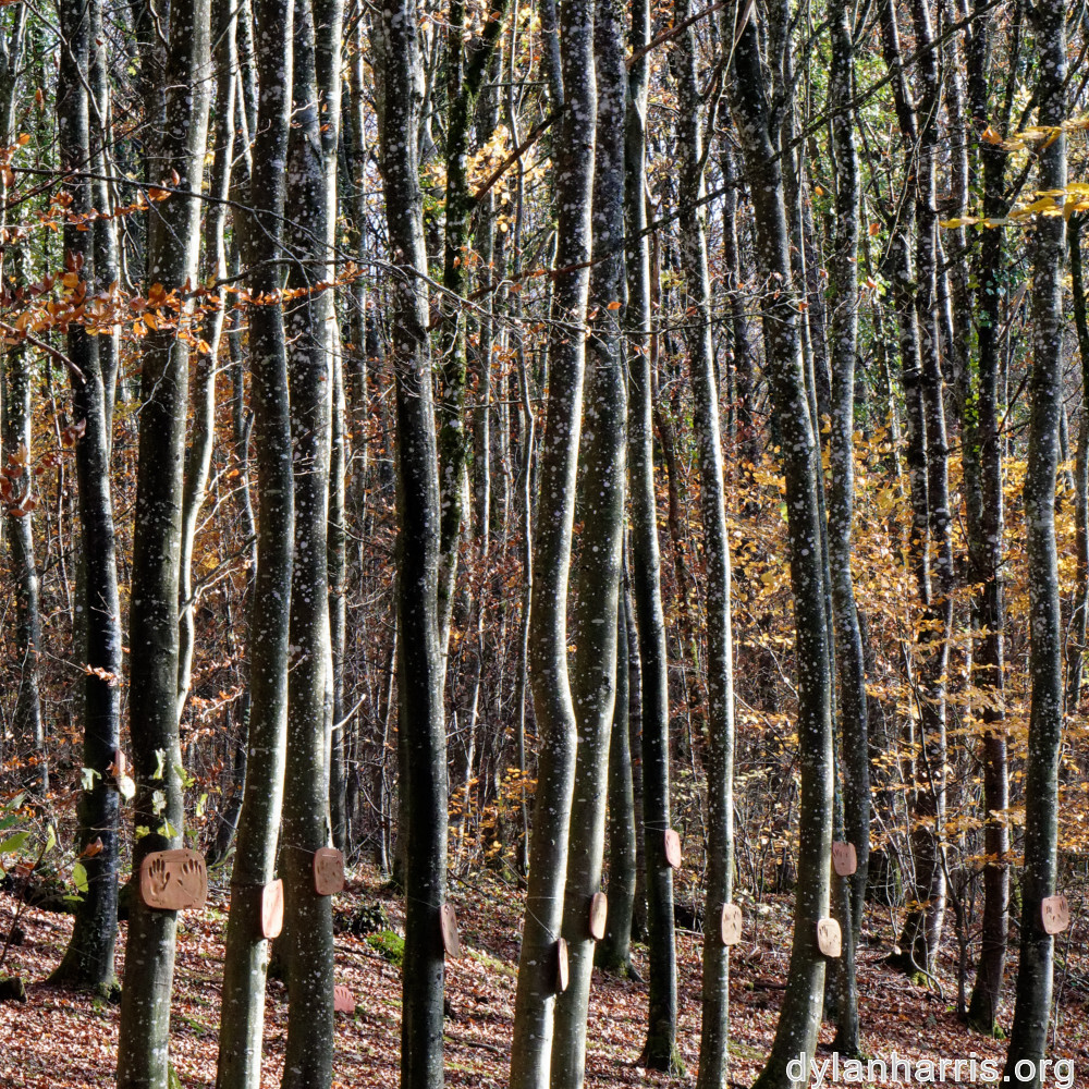 image: This is ‘
terres rouges (xxii) 2
’.