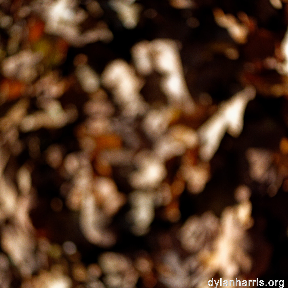 image: This is ‘
terres rouges (xxii) 3
’.